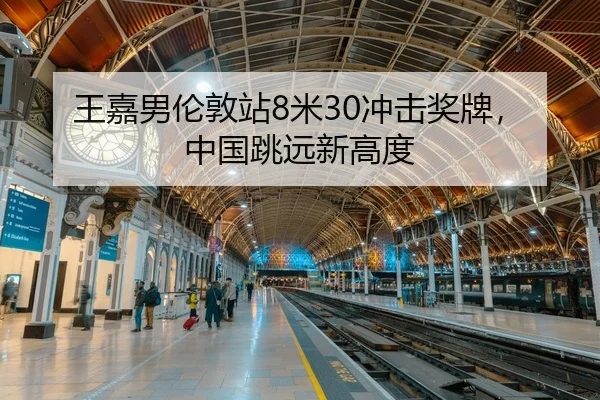 wang-jia-nan-lun-dun-zhan-mi-chong-ji-jiang-pai-zhong-guo-tiao-yuan-xin-gao-du-3-205.jpg
